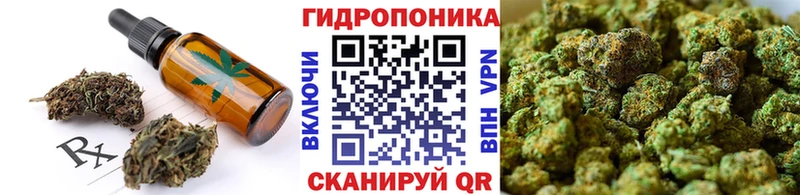 MEGA как зайти  Берёзовка  Печенье с ТГК конопля 