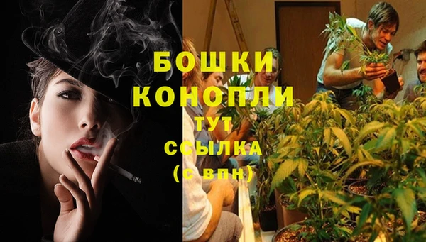 2c-b Абаза