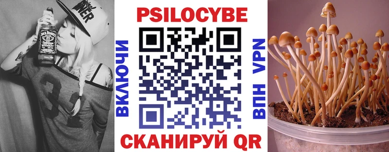 Галлюциногенные грибы Psilocybe  Берёзовка 